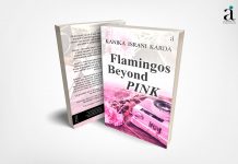 Book Preview : Flamingos Beyond Pink
